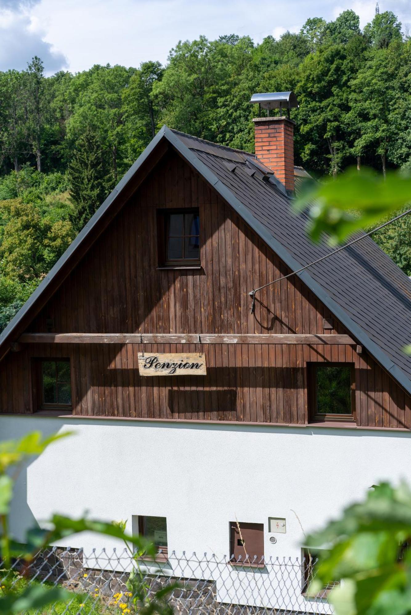 Penzion Zoe Branna Exterior photo